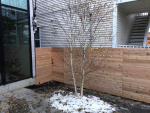 Fence Construction in Cleveland, Ohio